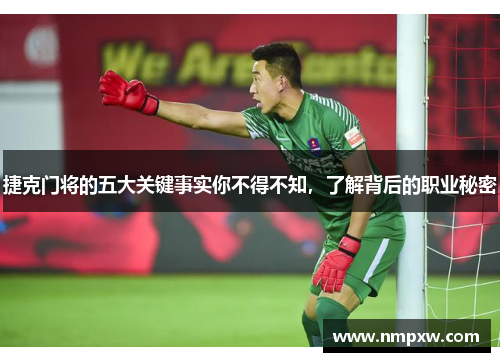 捷克门将的五大关键事实你不得不知，了解背后的职业秘密